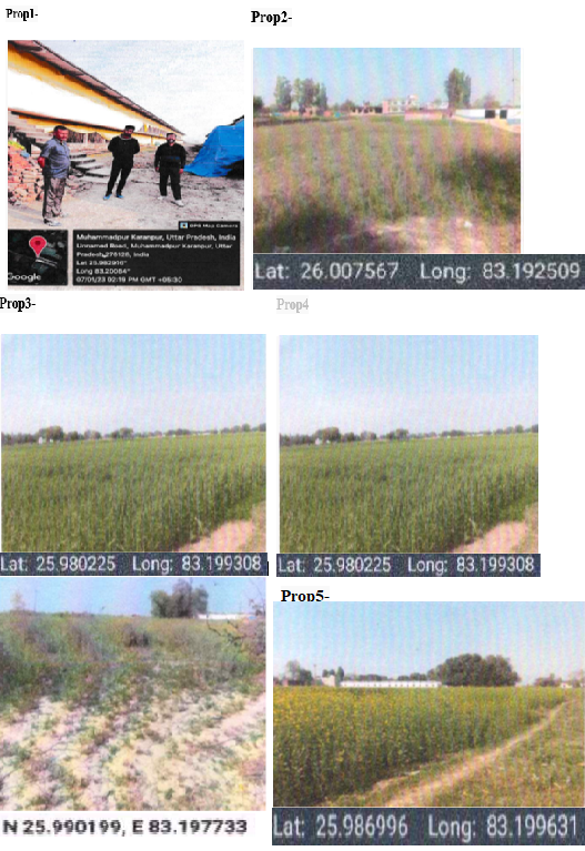 Bharat Layer, Uttar Pradesh